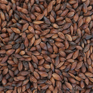 Best Malta Chocolate