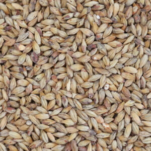 Malta Caramel Munich II